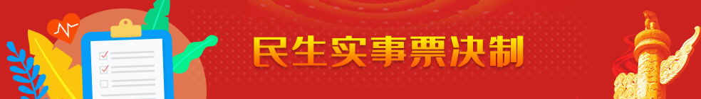 民生實事票決制