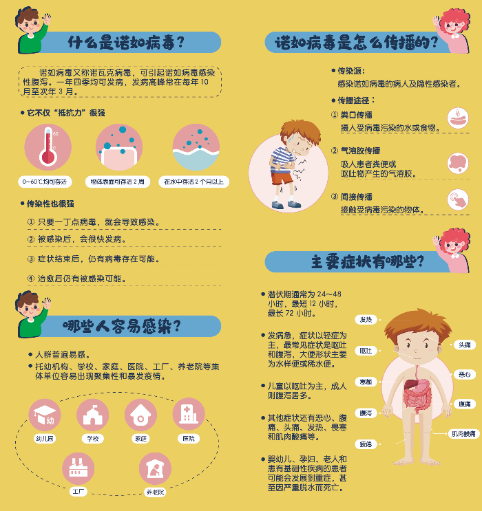 諾如病毒折頁源文件_畫板 1 副本.jpg