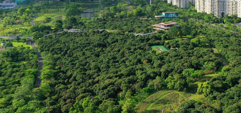 香蜜公園是以公共開放和生態保護為原則，匯集城市休閑娛樂功能，將文化、休閑、體驗融為一體的綜合性市政公園。DJI_0179.JPG