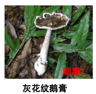 圖片3.png