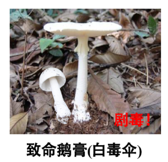 圖片4.png