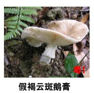 圖片5.png