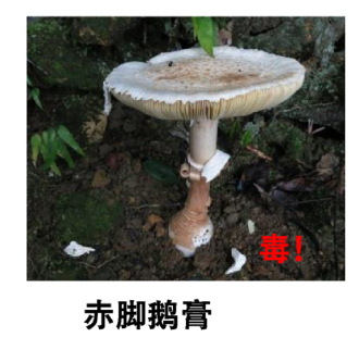 圖片6.png