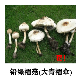圖片7.png