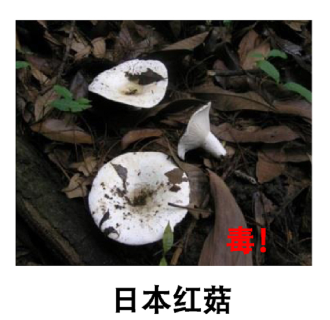 圖片8.png