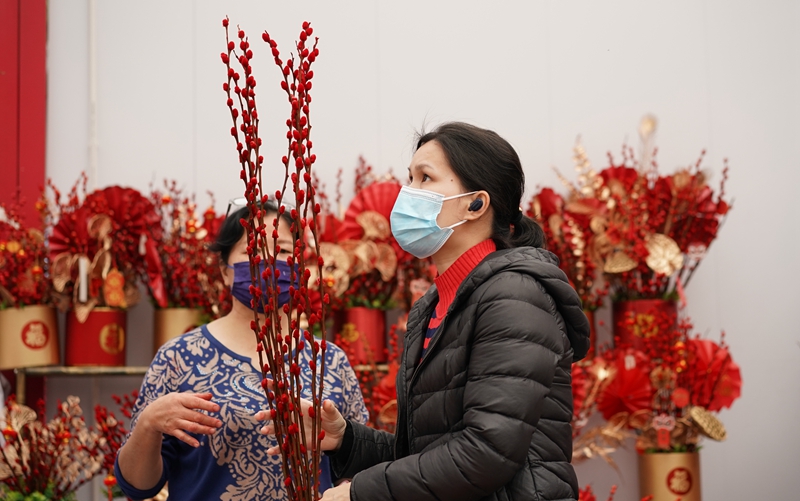 1月23日，市民在香蜜湖四季花谷的迎春購花點選購花卉.jpg