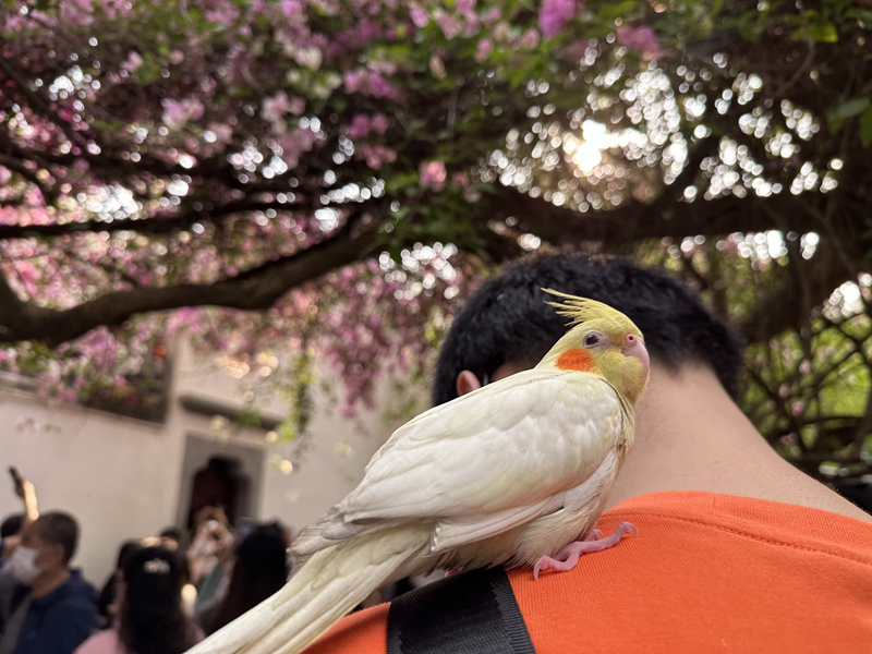微信圖片_20230313102119.jpg