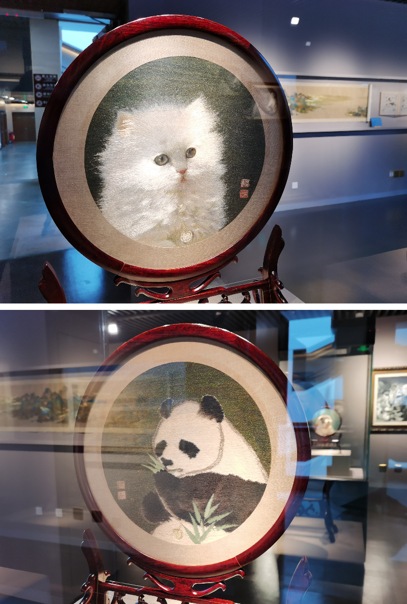已編輯圖片