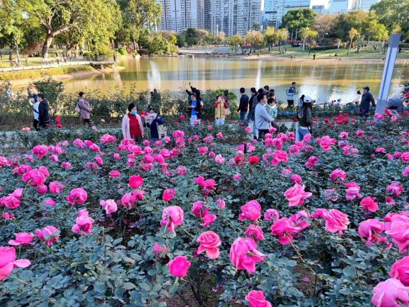 IMG_9071_副本.jpg 圖片