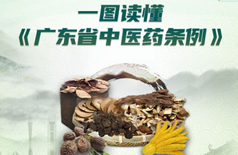 一圖讀懂《廣東省中醫藥條例》
