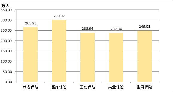 圖12  2017年全區(qū)參加各類保險人數(shù).png