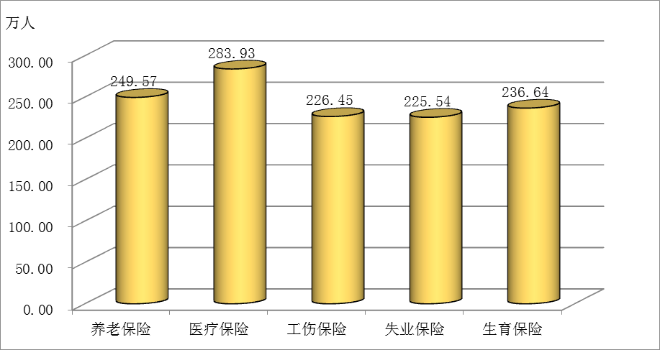 圖12  2016年全區參加各類保險人數.png