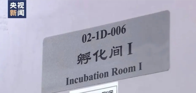6-孵化間.png