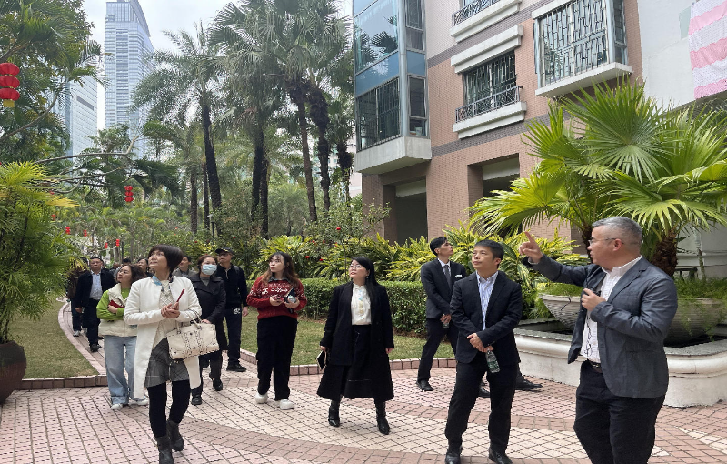 已編輯圖片