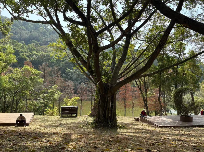 蓮花山公園.jpg