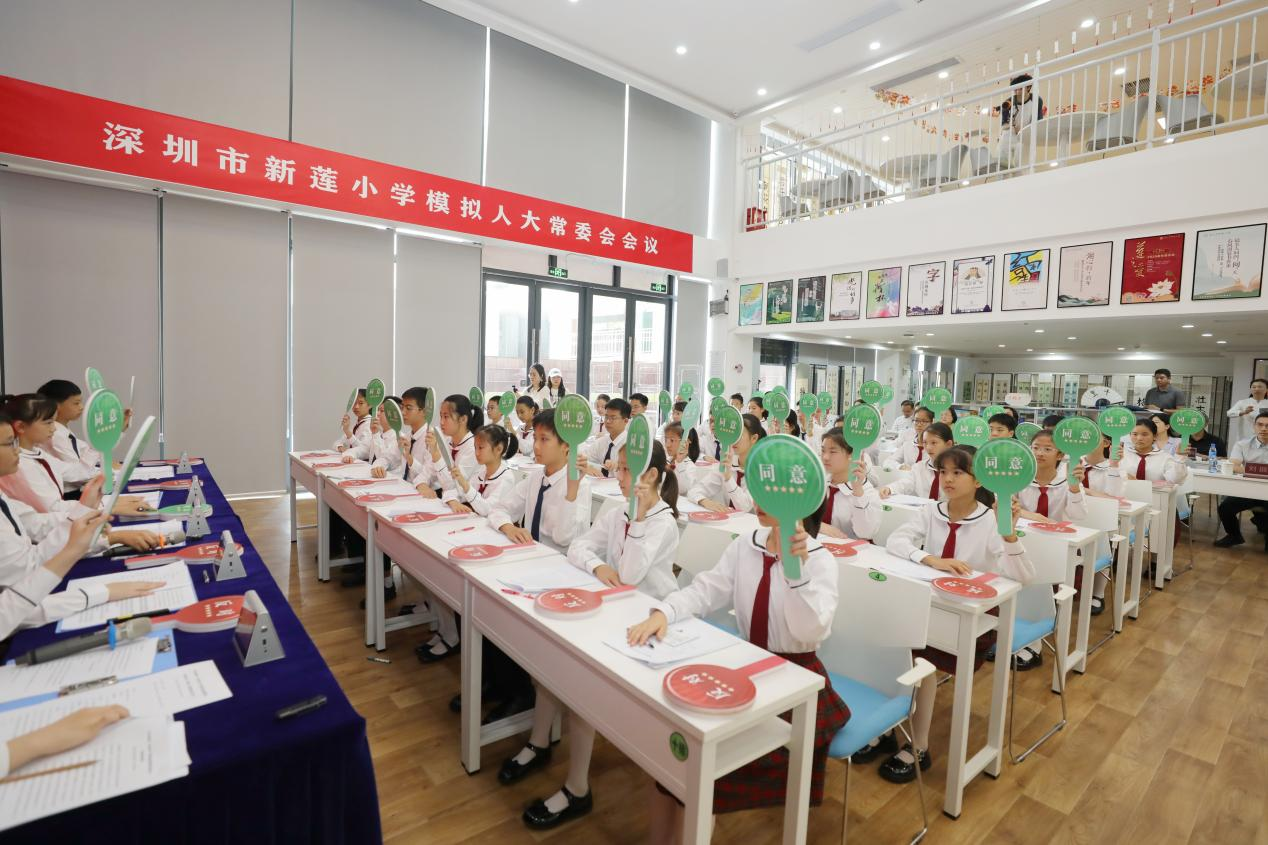 模擬人大近看民主4.png