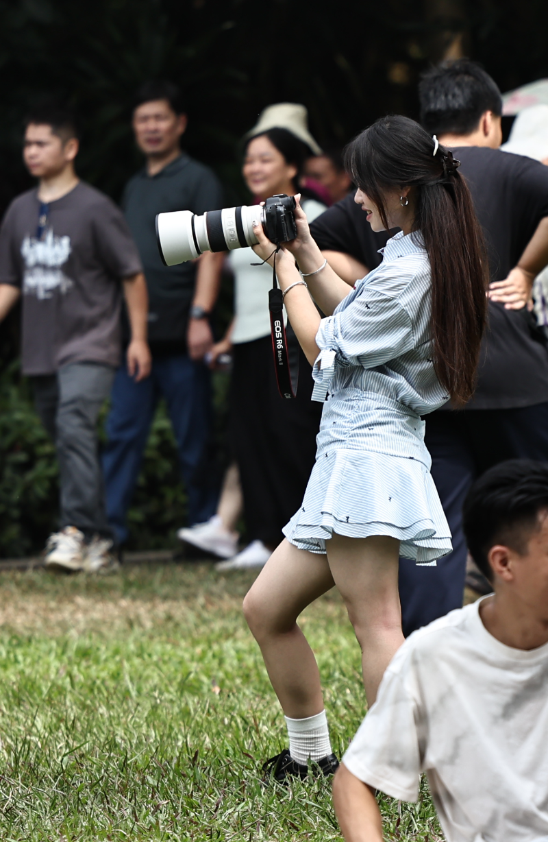 080A8127.JPG